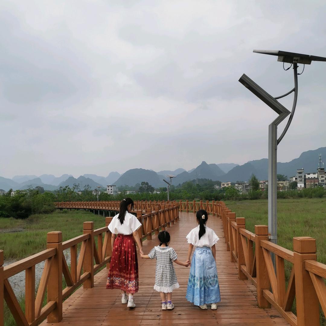 土豆，