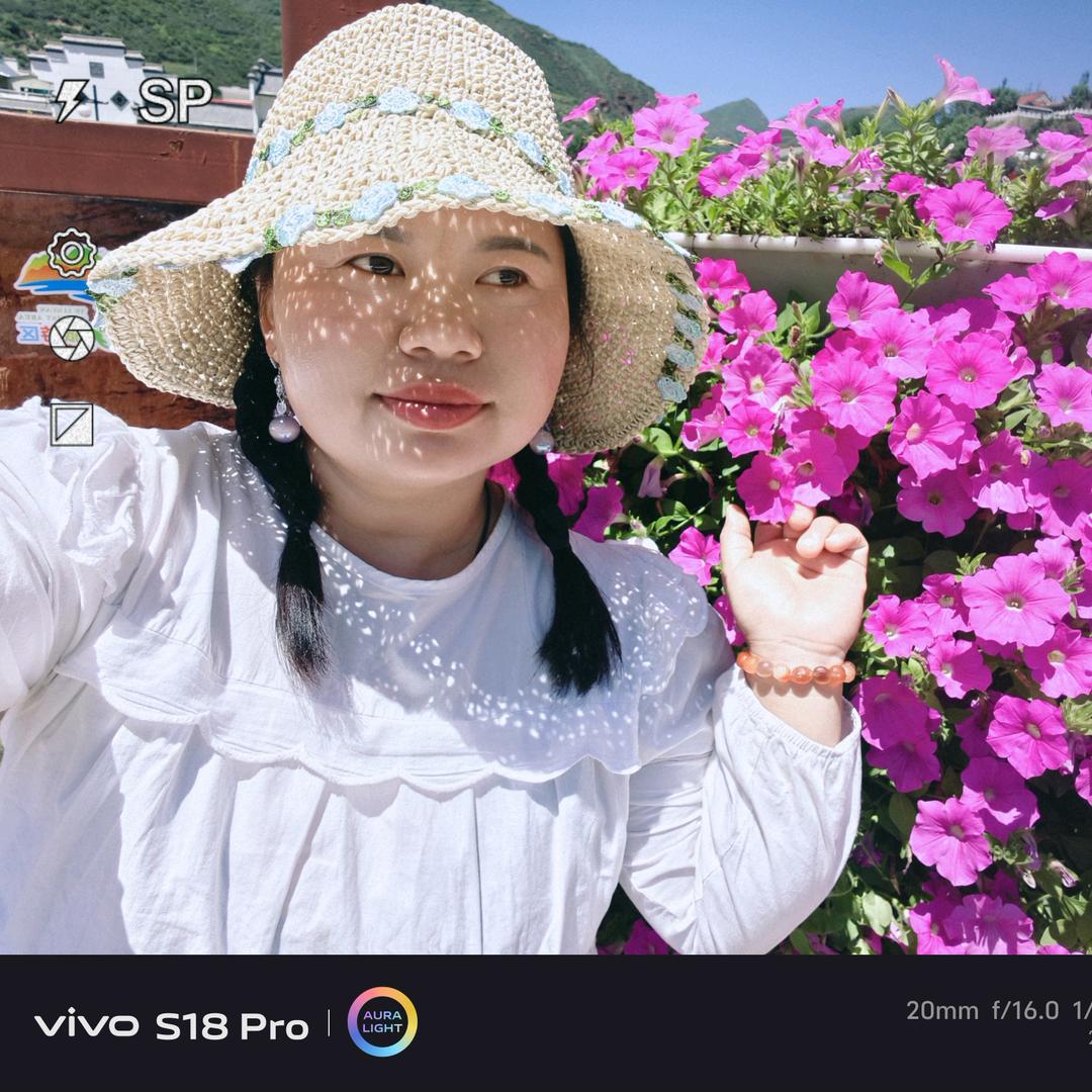 小代👉卫星平地机/大蒜/洋葱打孔一体机