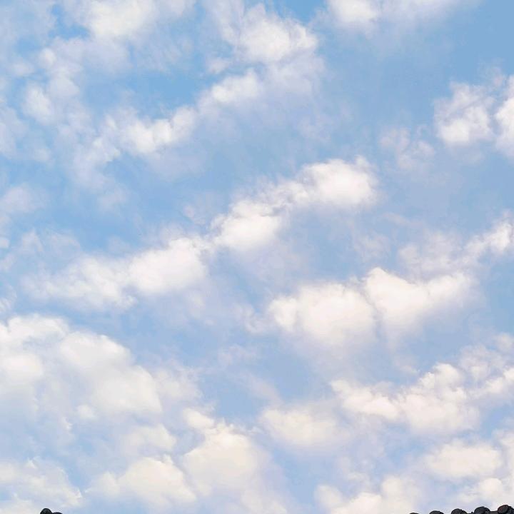夏夜星语