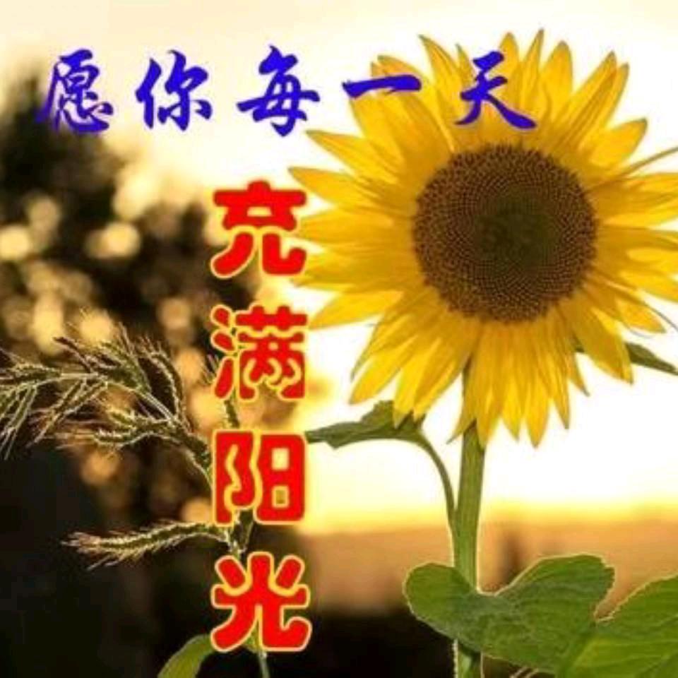 知足常乐