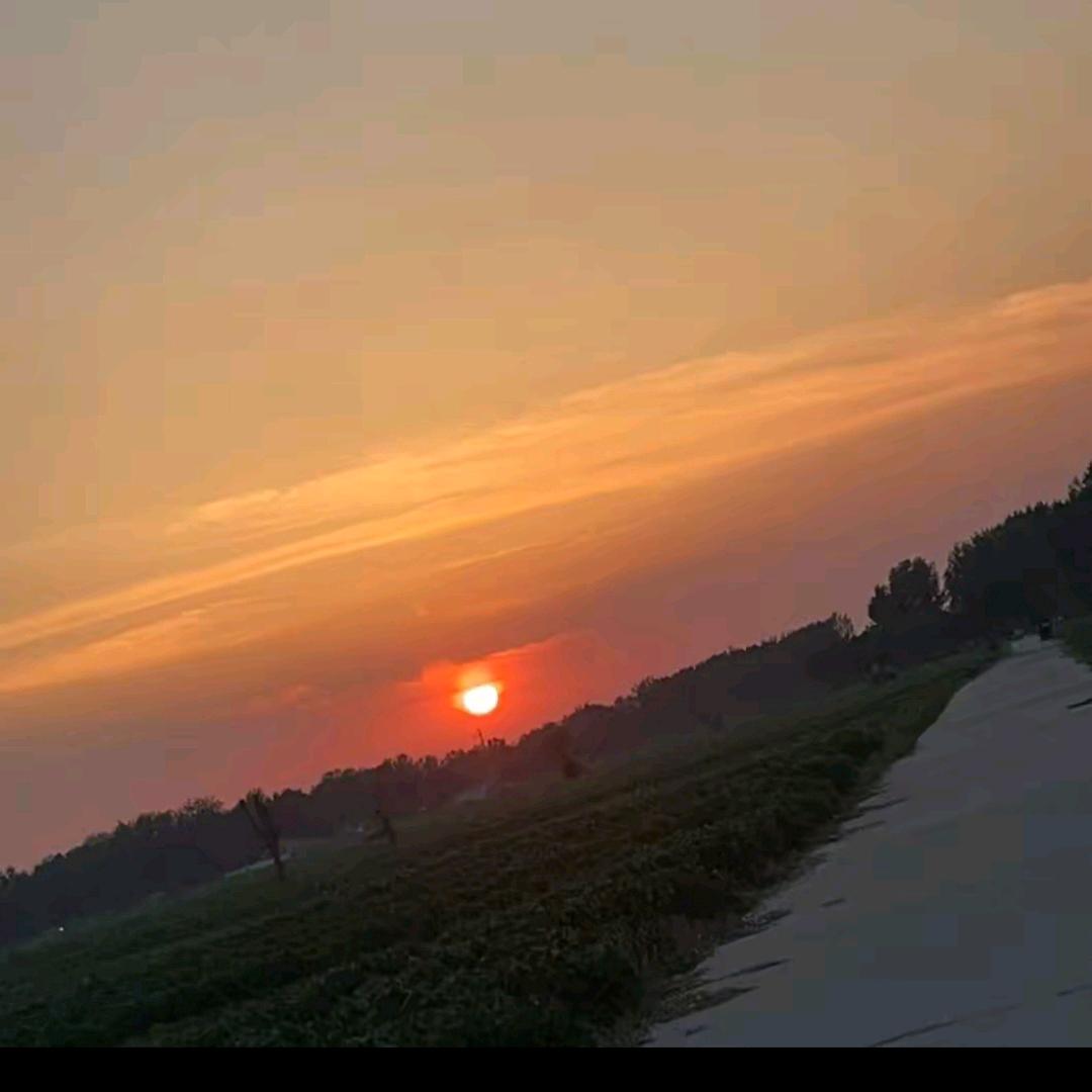 李先生，的生活