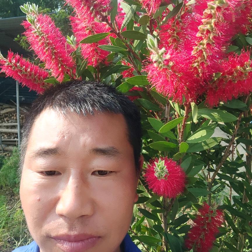 果农江哥