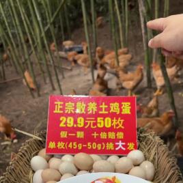 长岭老张农场