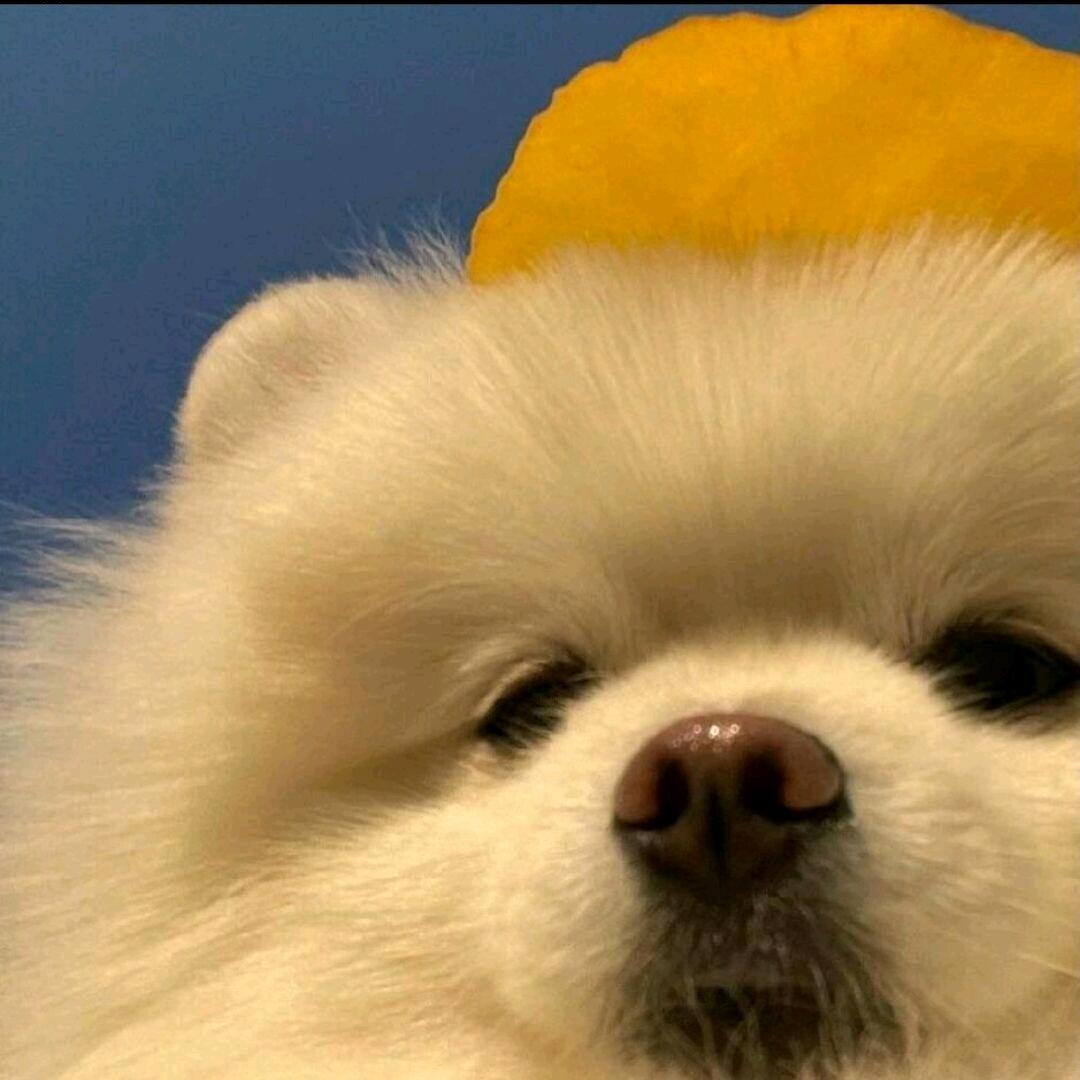 KissCT