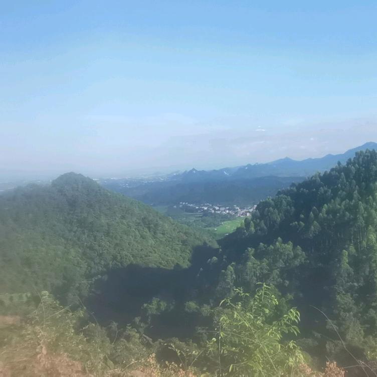🇲🇴扶风💵堂主