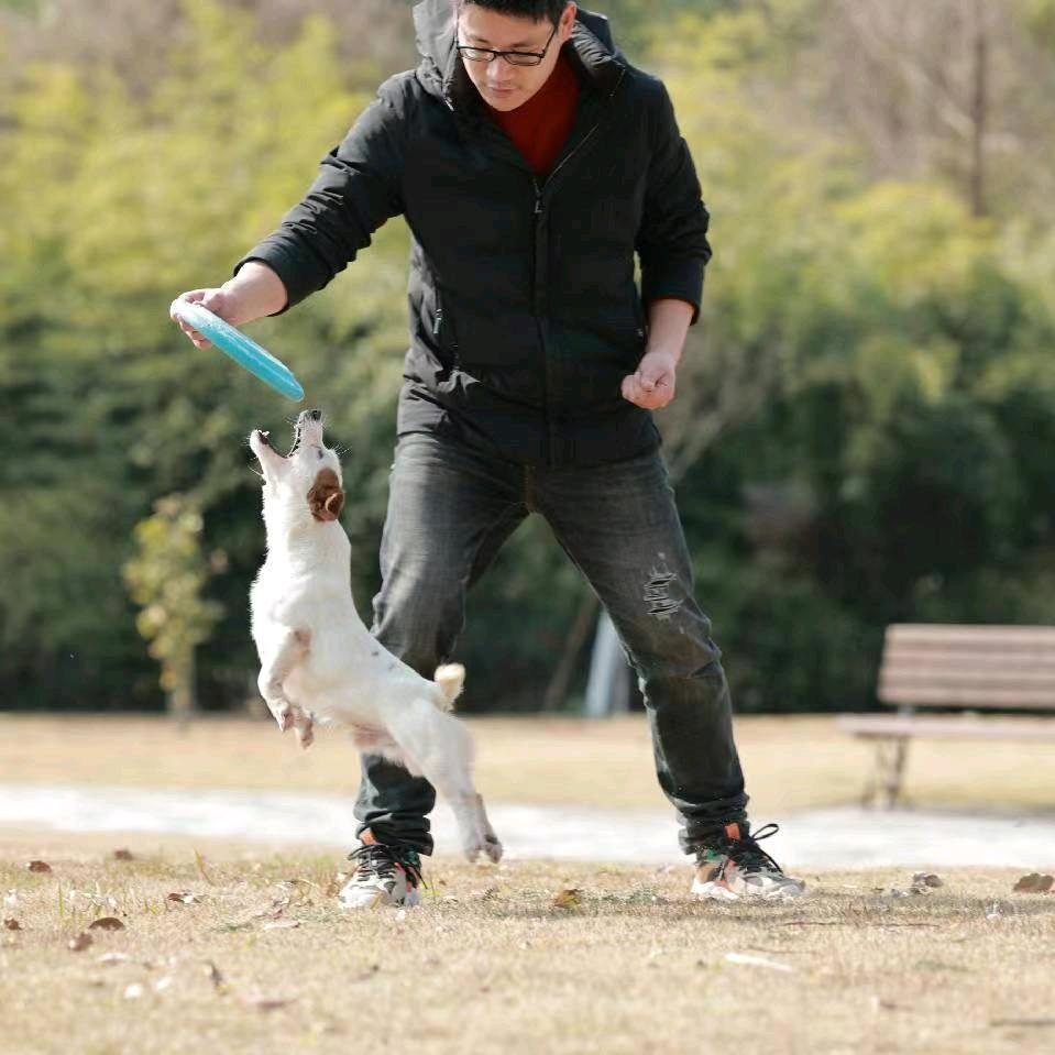 乐清训犬爱好者
