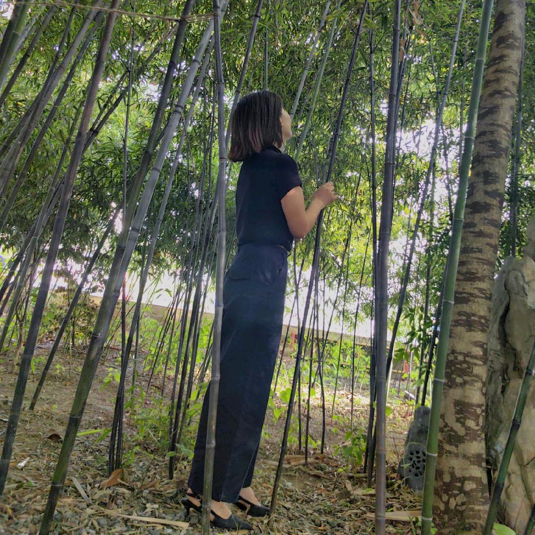 多彩精靈