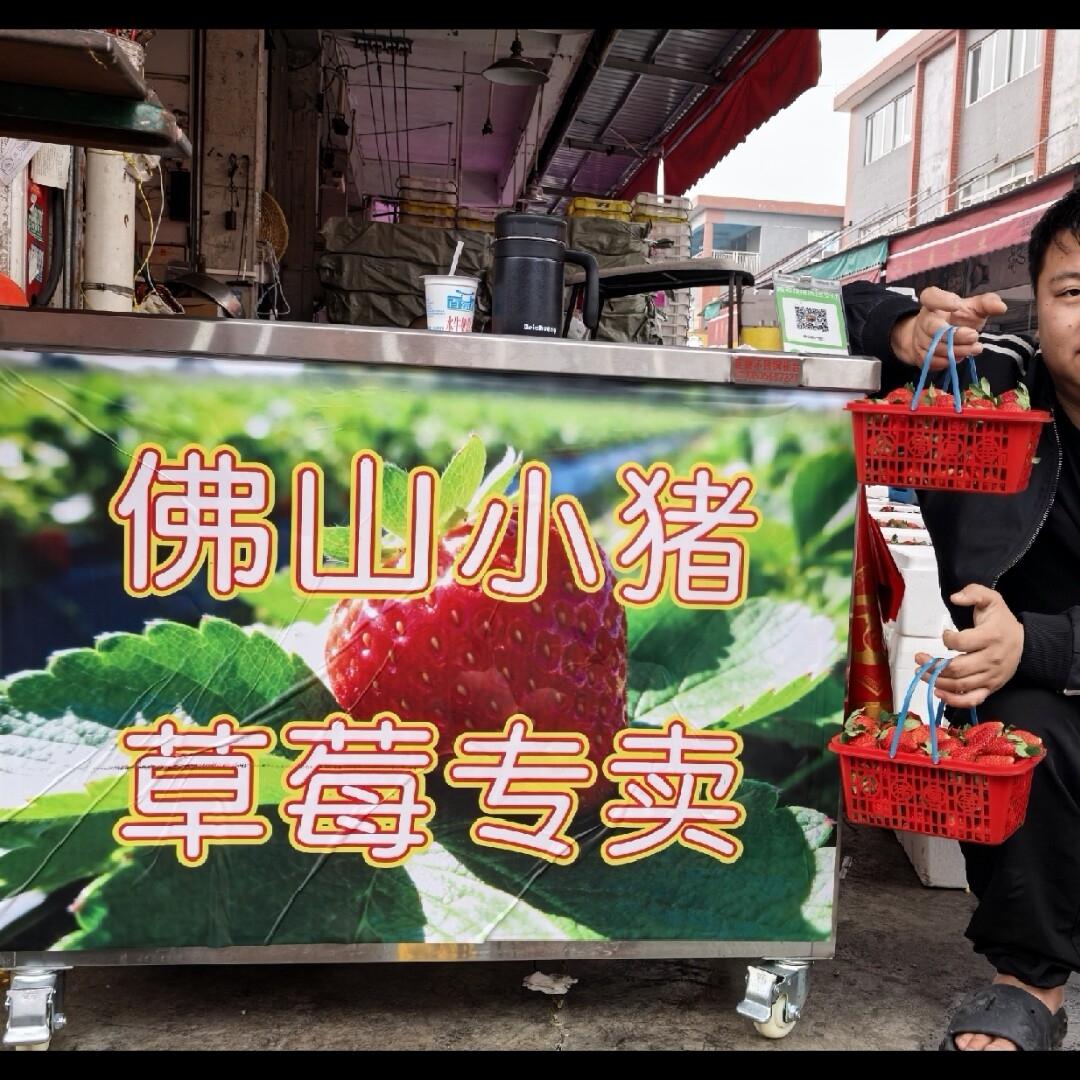 小朱榴莲（佛山）