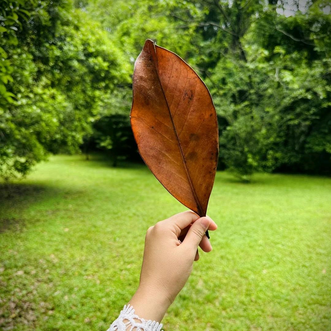 珍惜现在~