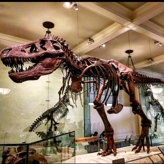 𝑮𝒊𝒏𝒐方格🔅