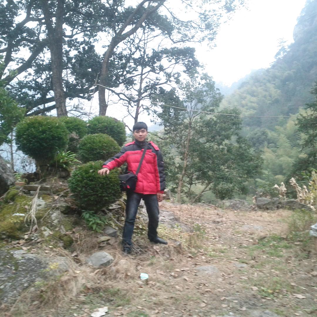 王陈东
