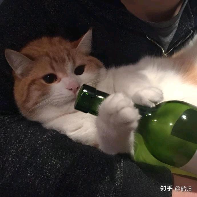 羅嗦