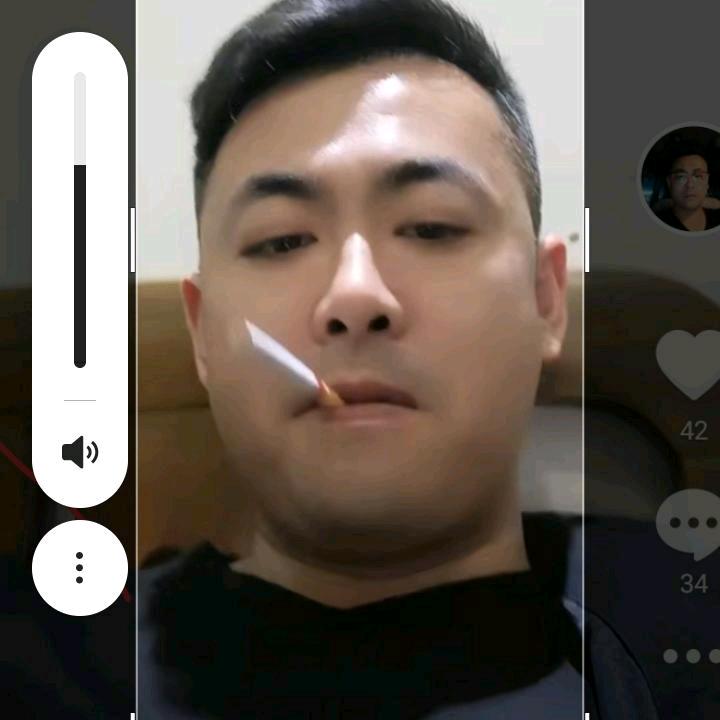 大金牙的小懒猪