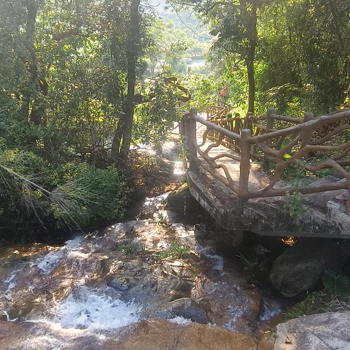 小阿锋