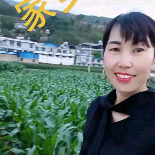 安秧生活超市