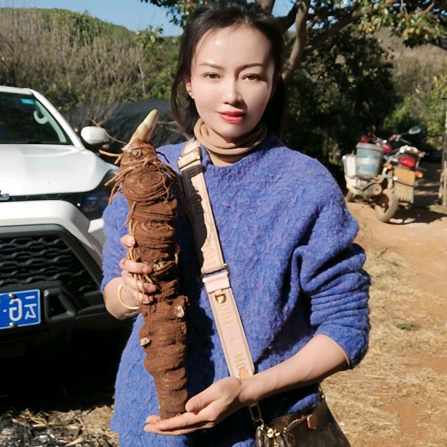 种苗批发🩷除草剂
