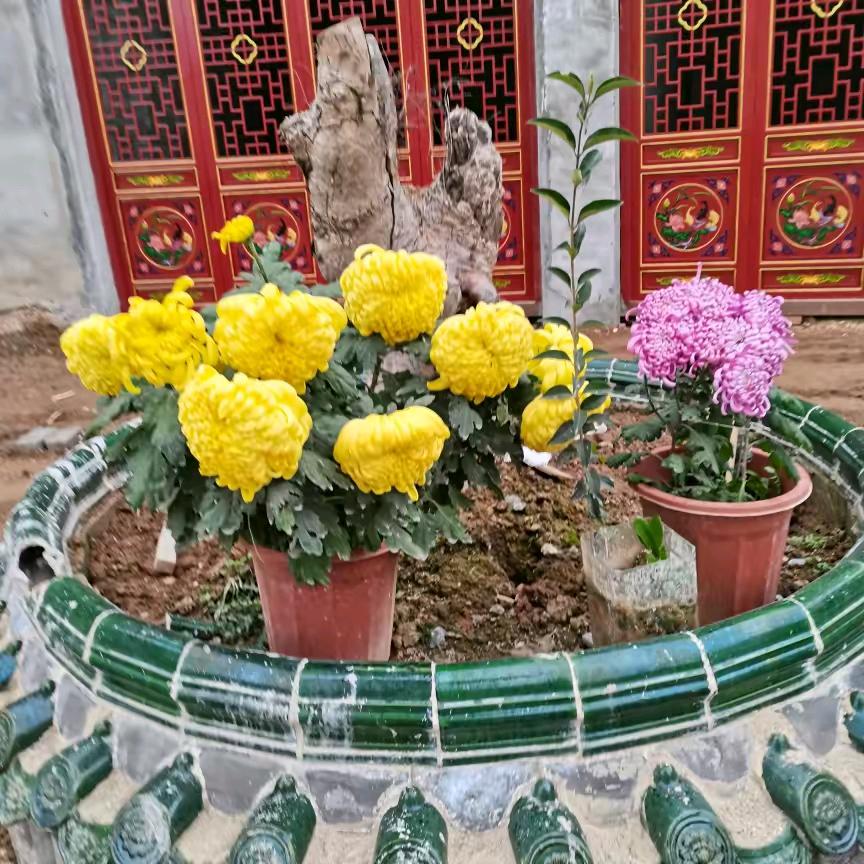 龙行天下