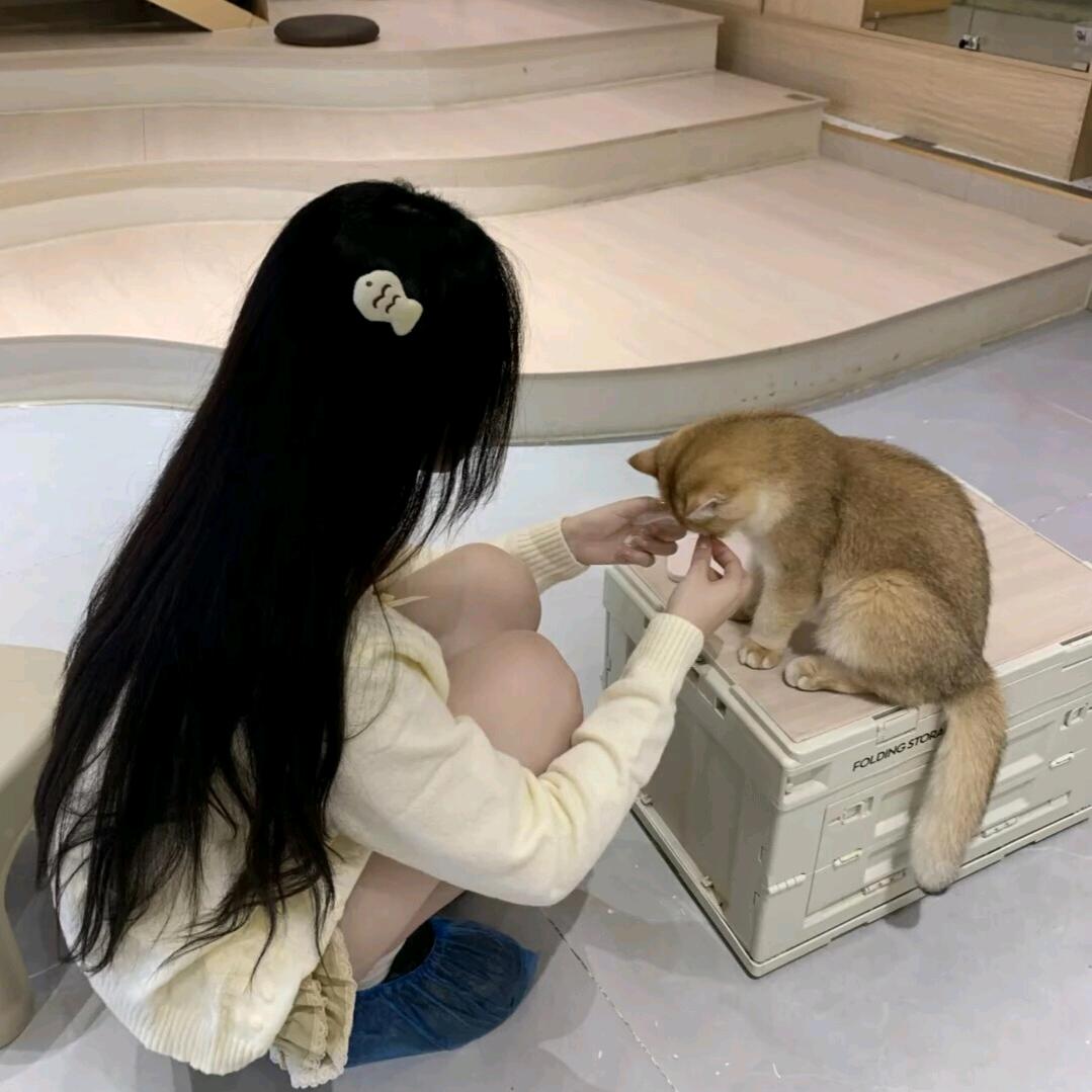 梧⚝桐