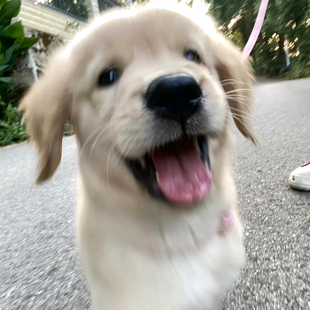 不喜欢晚睡