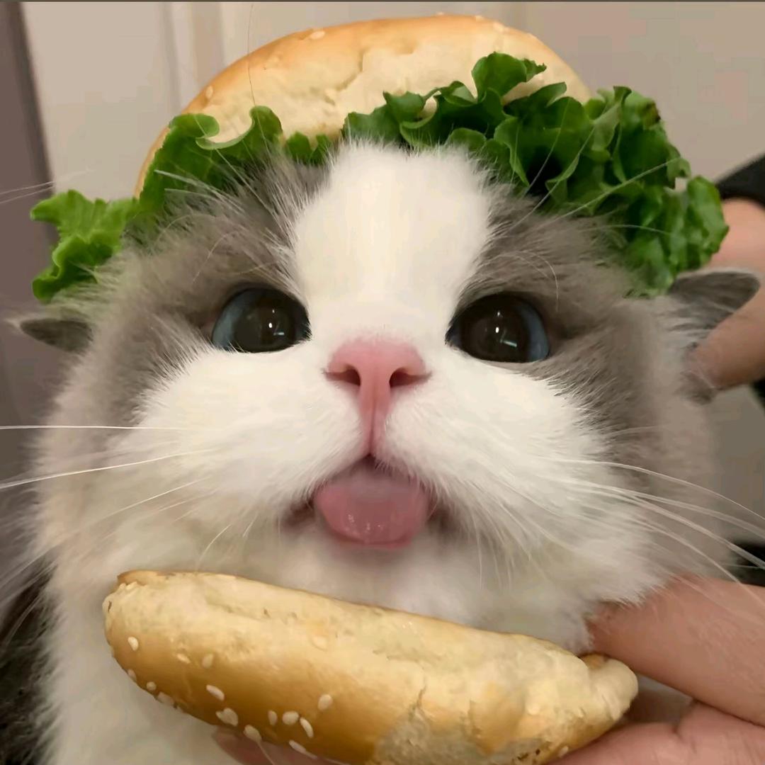 洱普泔青喝爱🍣