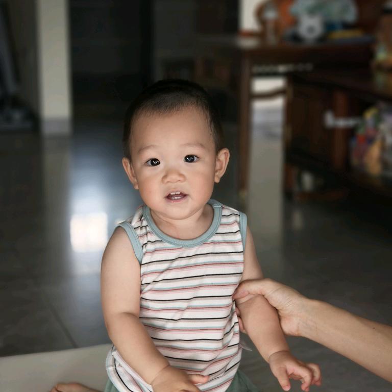 丽萍