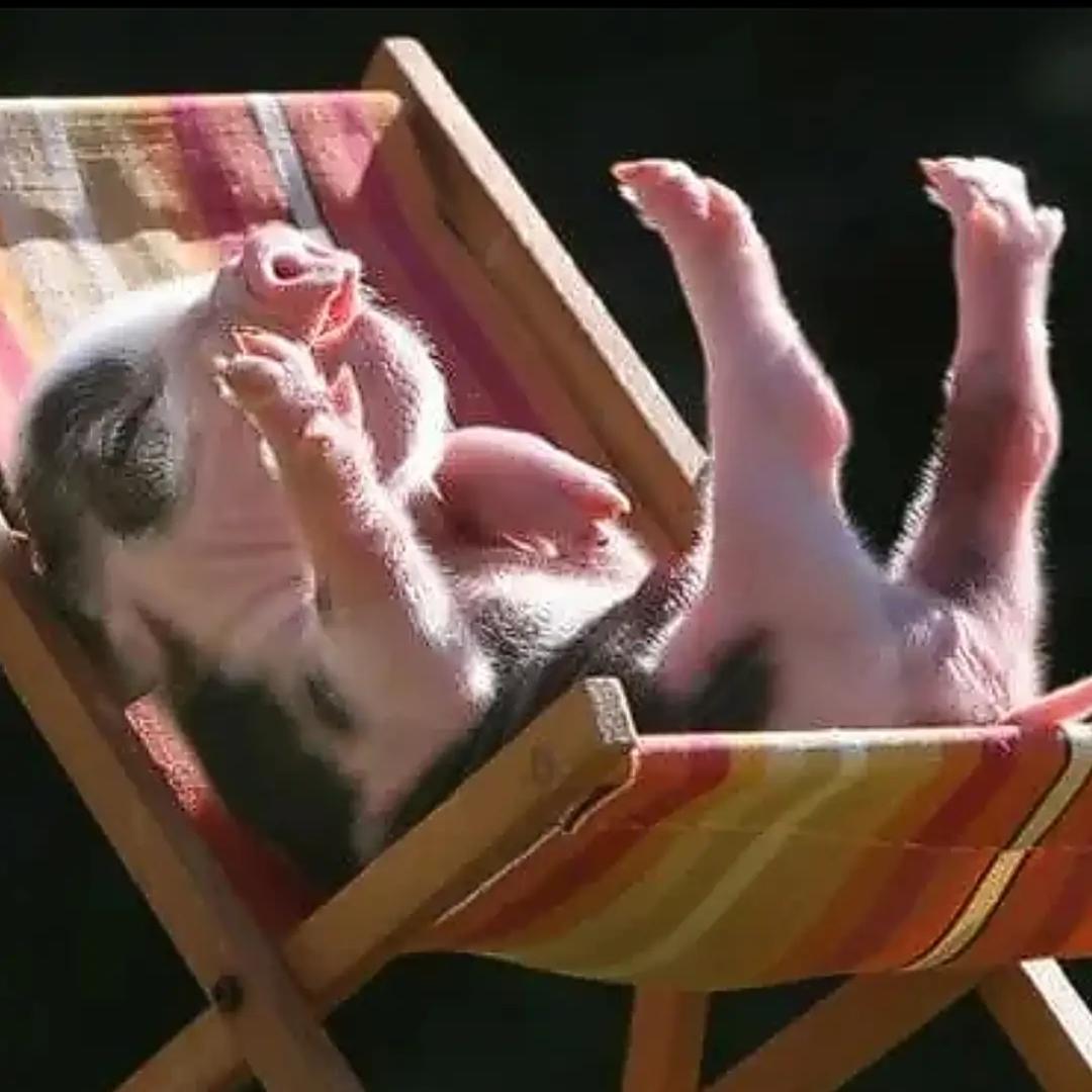 ❤其实我们都没错💚