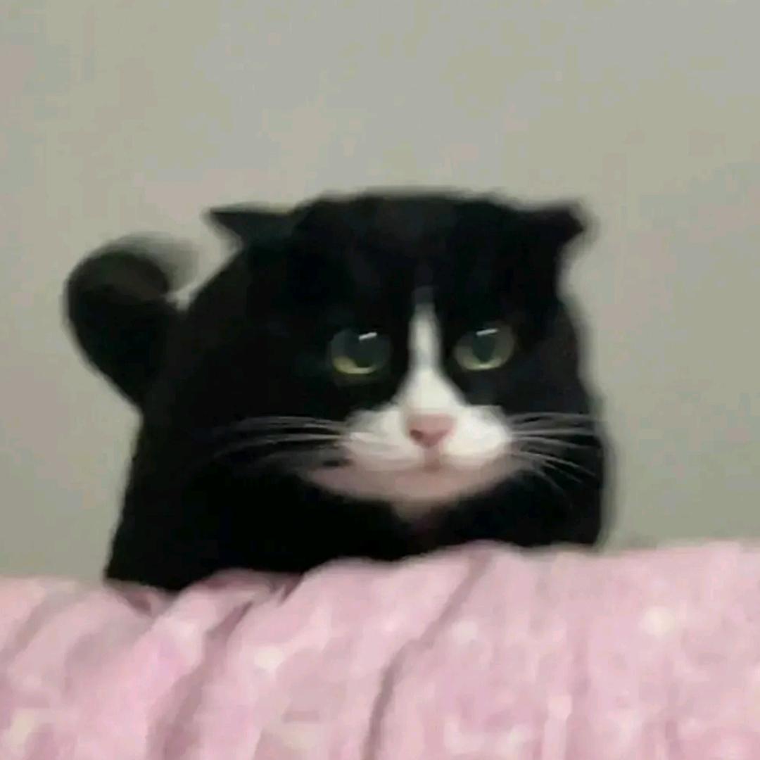 我虽然是个牛仔