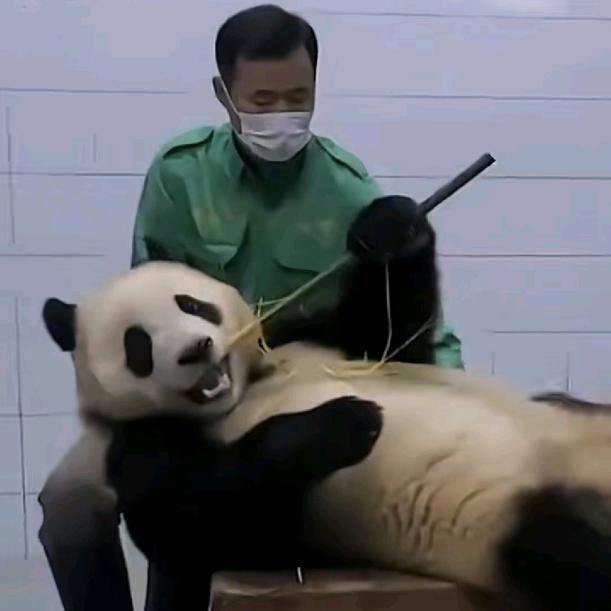 wuli噗宝唔🐻