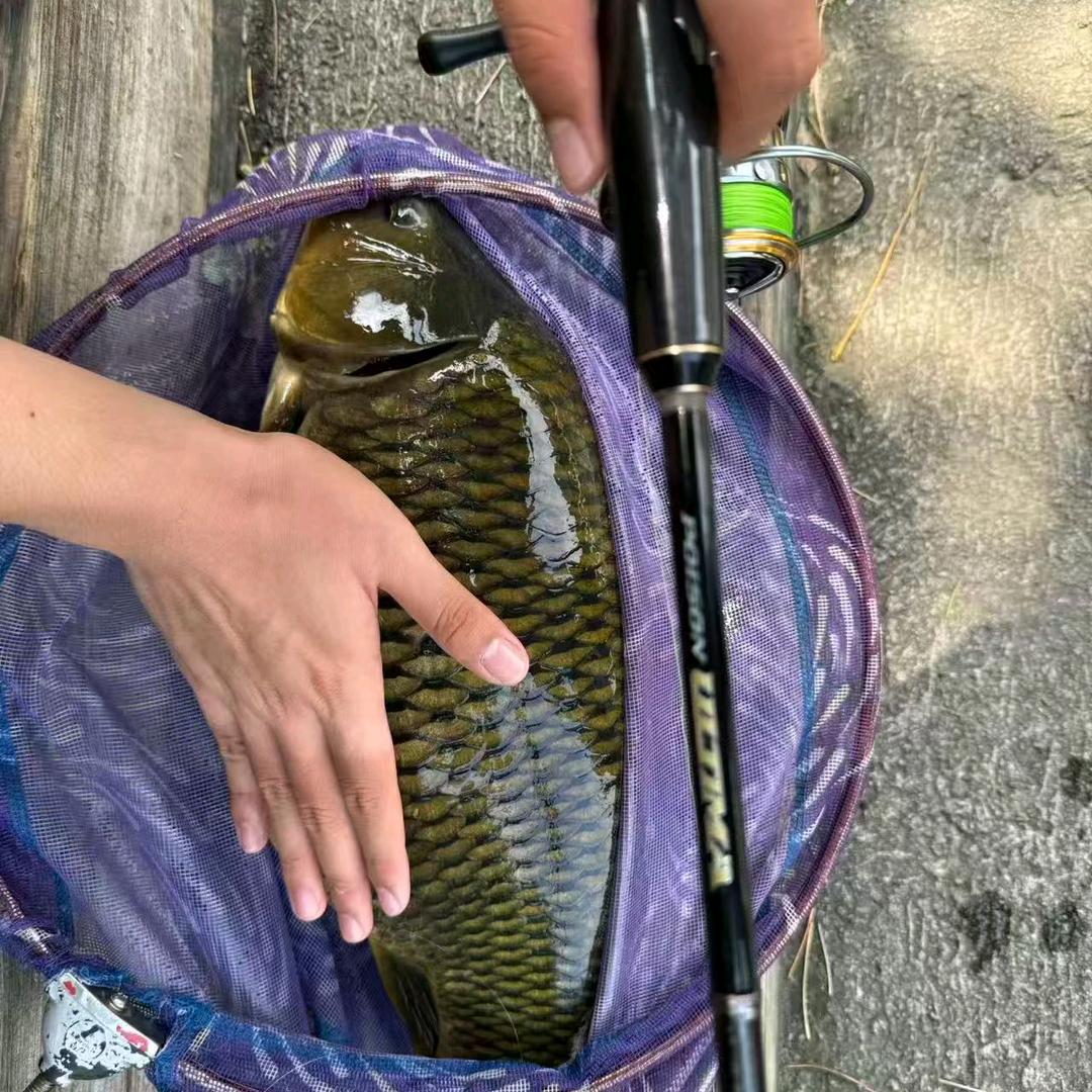 高端日本二手渔具