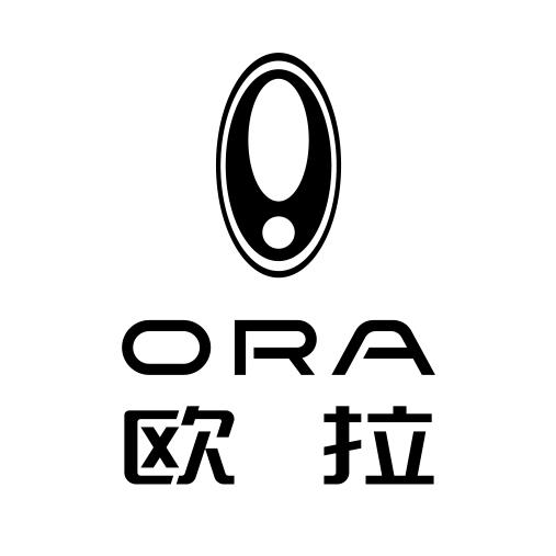 欧拉汽车遂宁兴志安