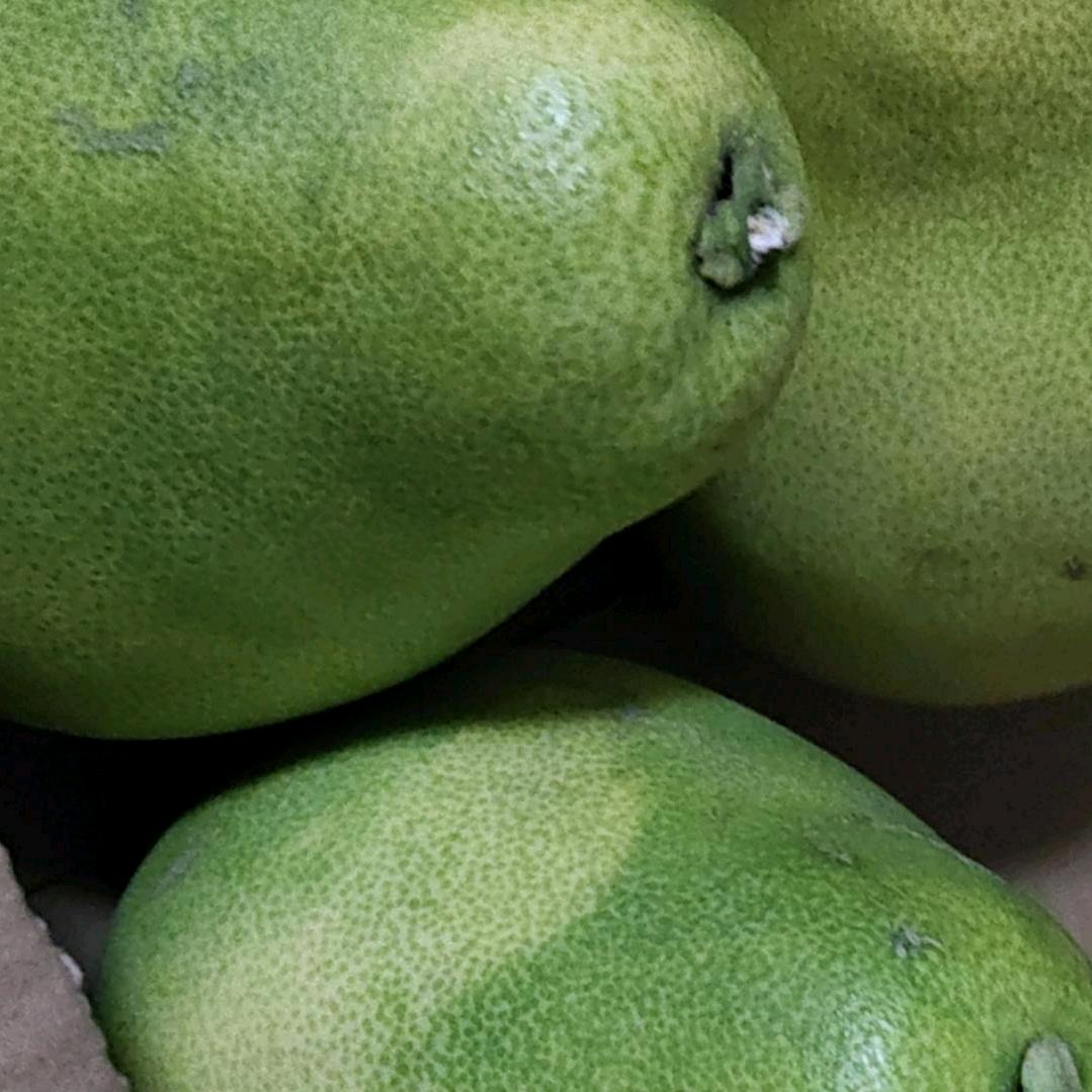 麗给生活加点糖