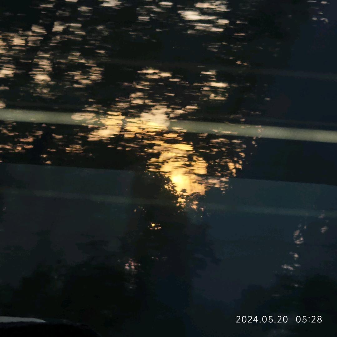 小醜