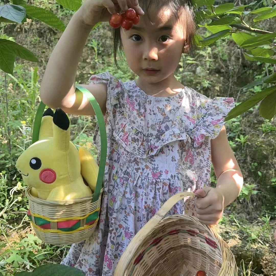 家人都好