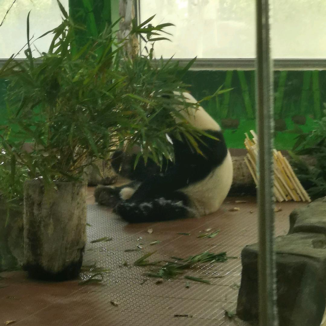 越来越好！