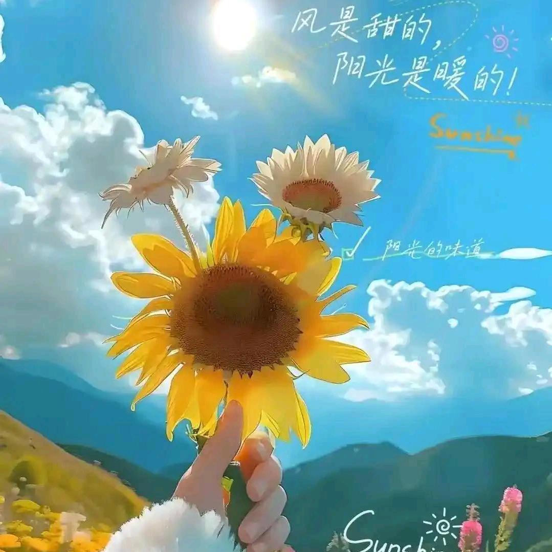 纯色时光
