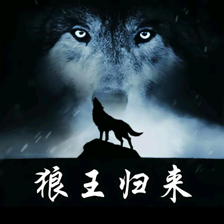 狼王归来