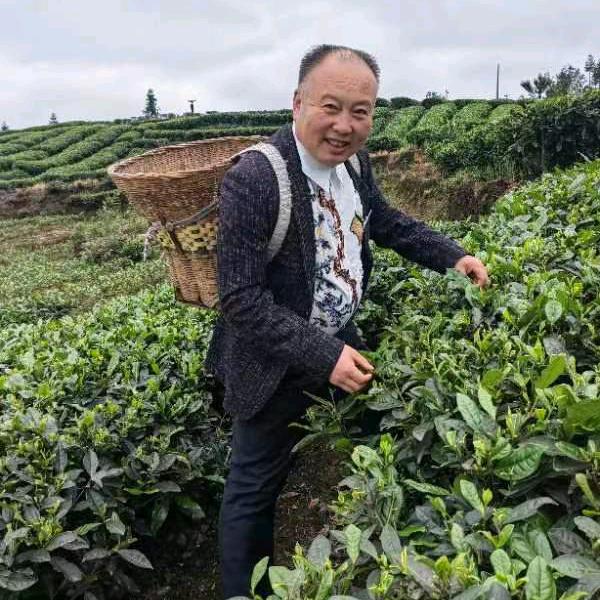 用户664861