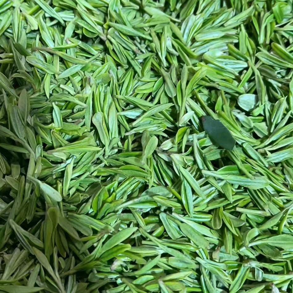 卖茶叶的小朱
