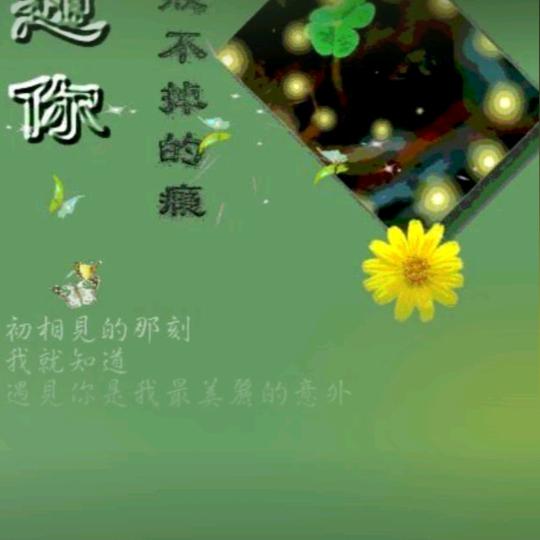 白云城主