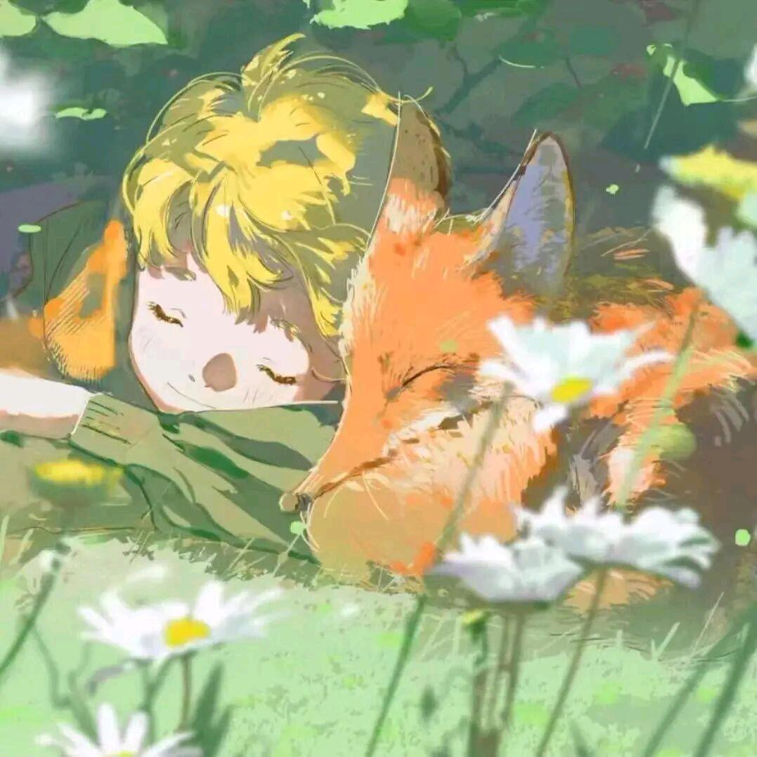 屿
