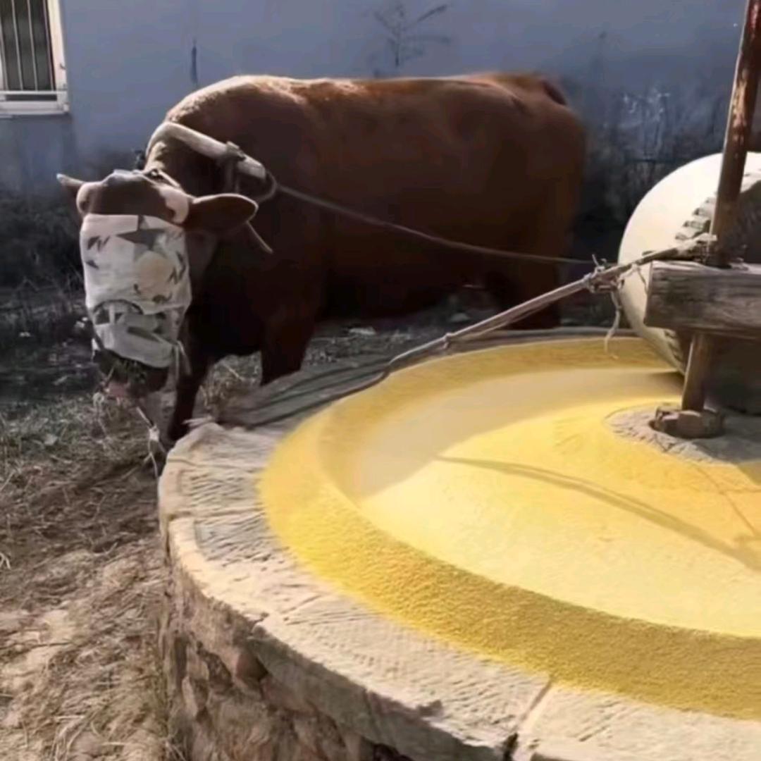 免费信息服务平台