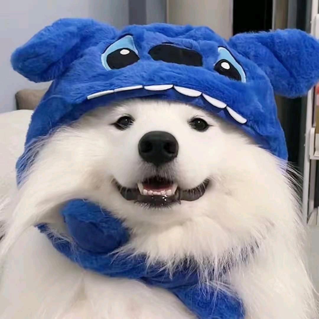 一口气吃不成胖子的大魔法师