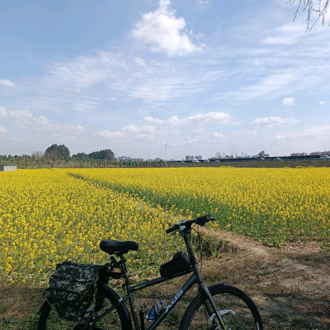 我们只是时间的过客