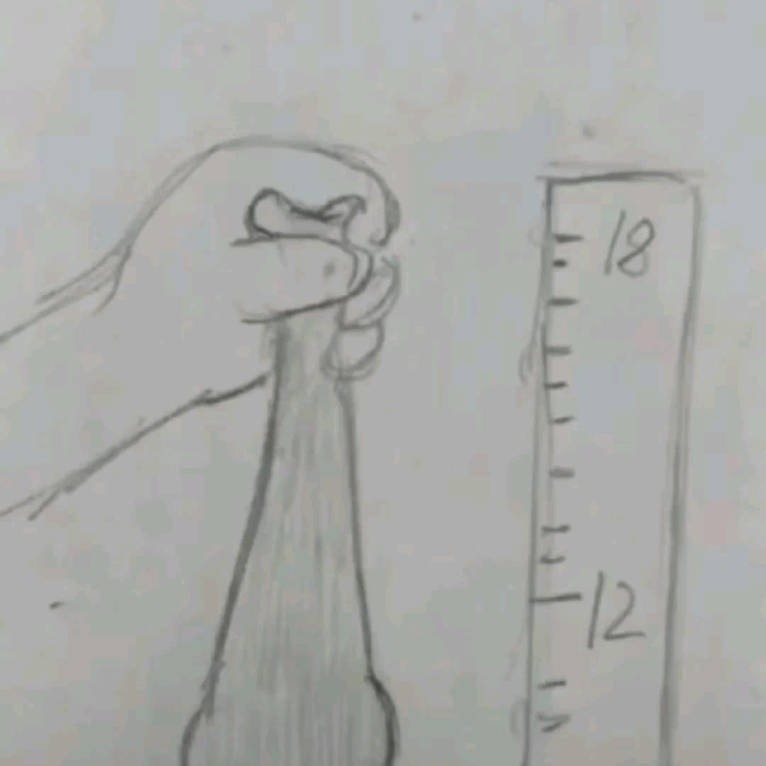 18厘米