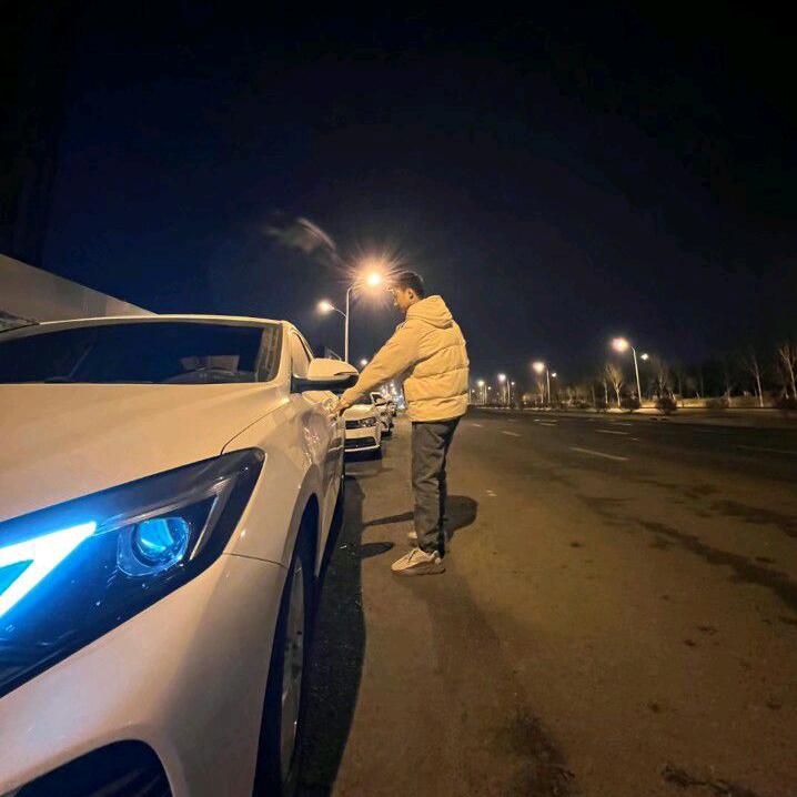 一阳萌宠一生萌宠俱乐部出各种宠物