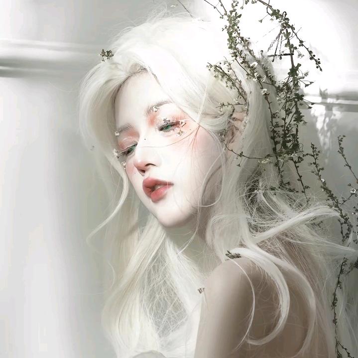 莯小鹿