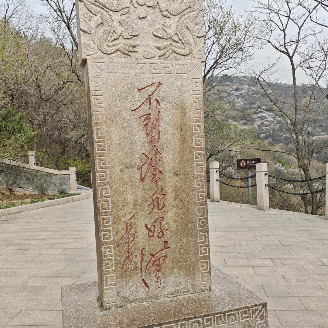 [卫队长官]赛伊德