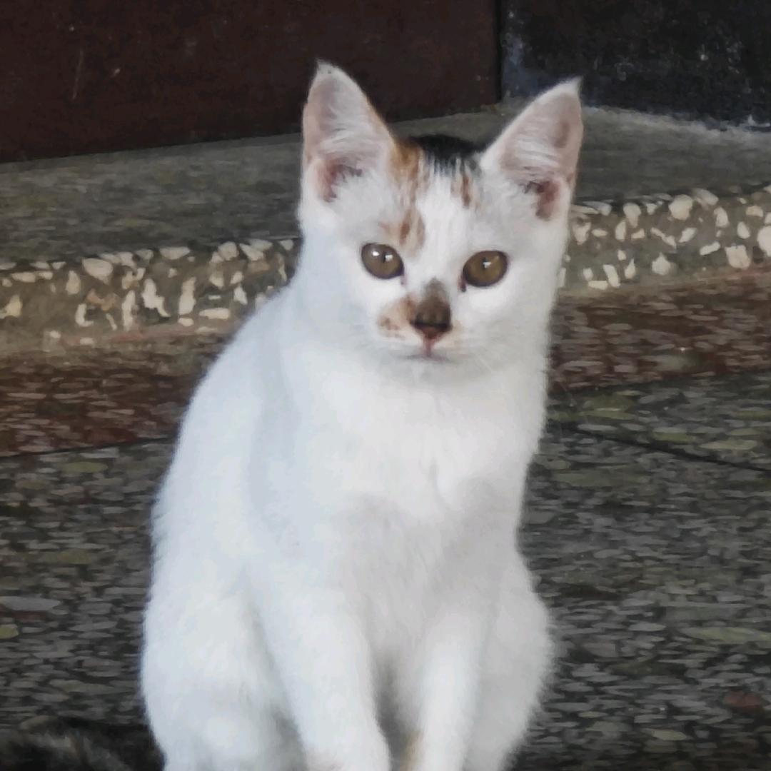 天天暴富🌸🌸🌸