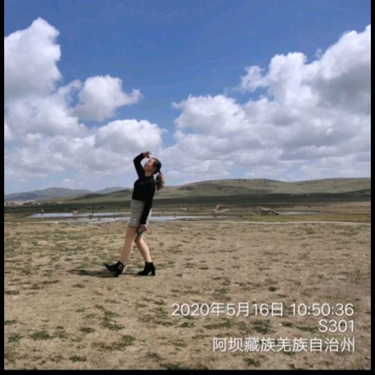 琴姐叶儿粑