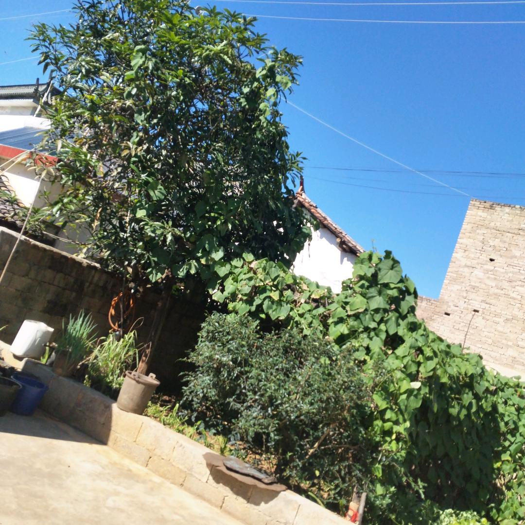 老张姐一帆风顺。